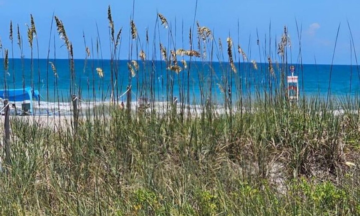 Cape Caneveral Beach Gardens Condo | Slice of Paradise, 1 bedroom, walk to the beach!