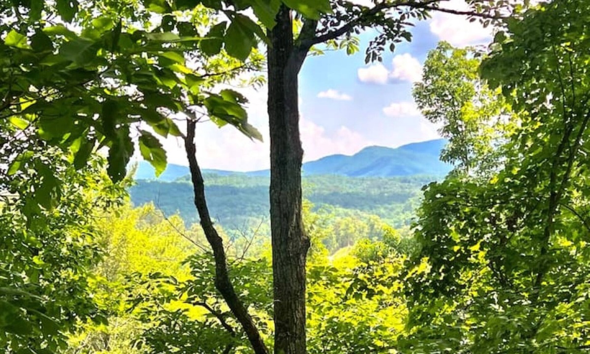 Caton Cabin | SPRING Forward, with SUMMER Right Around The Corner!