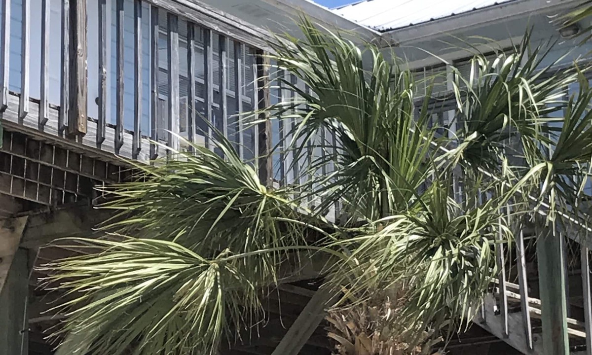 Perry Hotel | Spring Warrior Fish Camp #2 Located on the Gulf of Mexico