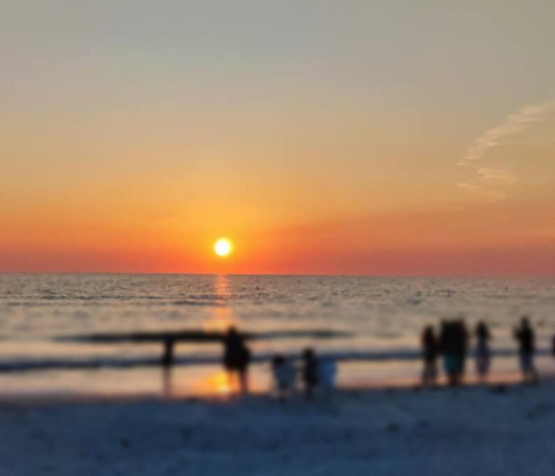 St. Petersburg - Clearwater House | St Pete Treat - 10 mins to beaches and downtown