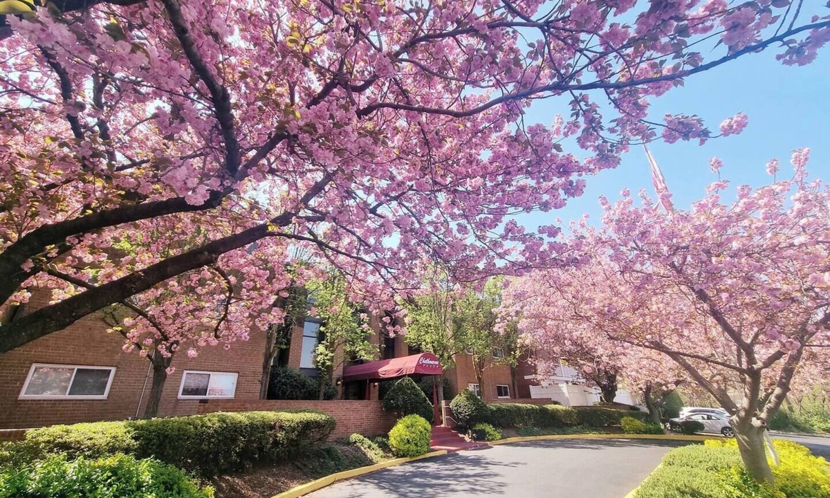 Elkins Park Apartment | Stylish 1BR | Moss Rehab | Monthly Deals