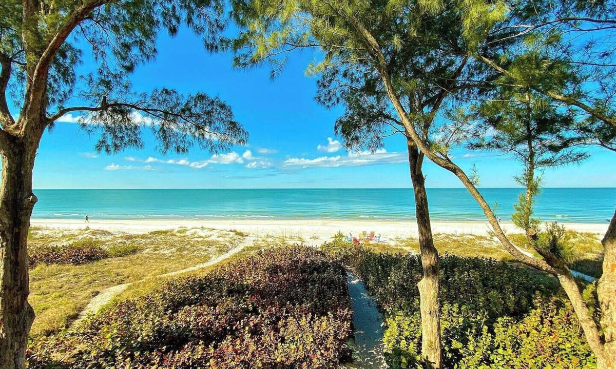 Indian Shores Condo | Stylish Beachfront Condo, Stunning Views