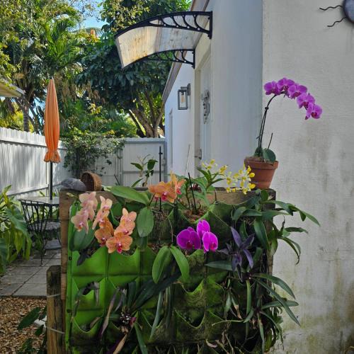 North Miami Beach House | Suite Life at Chez Mercedes