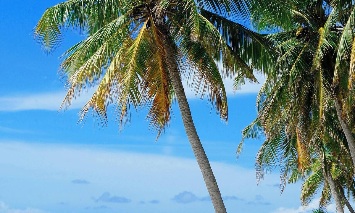 Sebastian Highlands House | Sunny Days Retreat, . 5 miles to beach, Fishing, 90min to Disney. Pet friendly