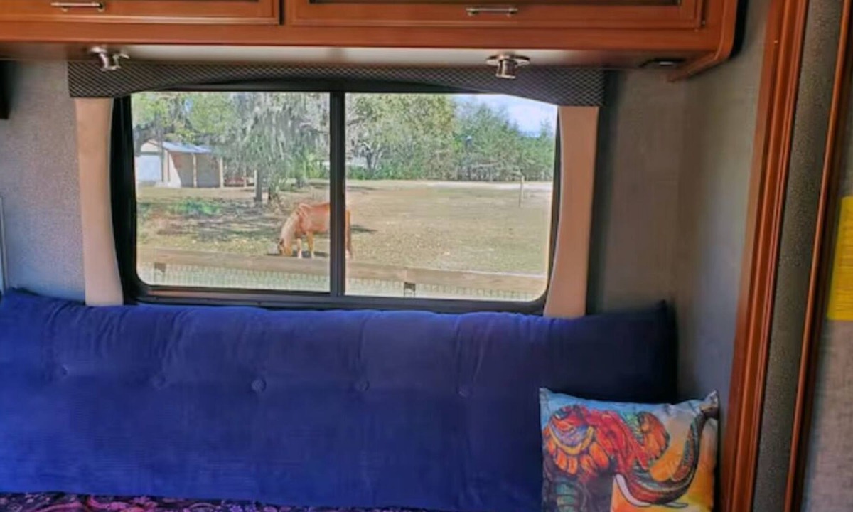 Lecanto House | Taste of Tiny Living in Pet Friendly Paradise