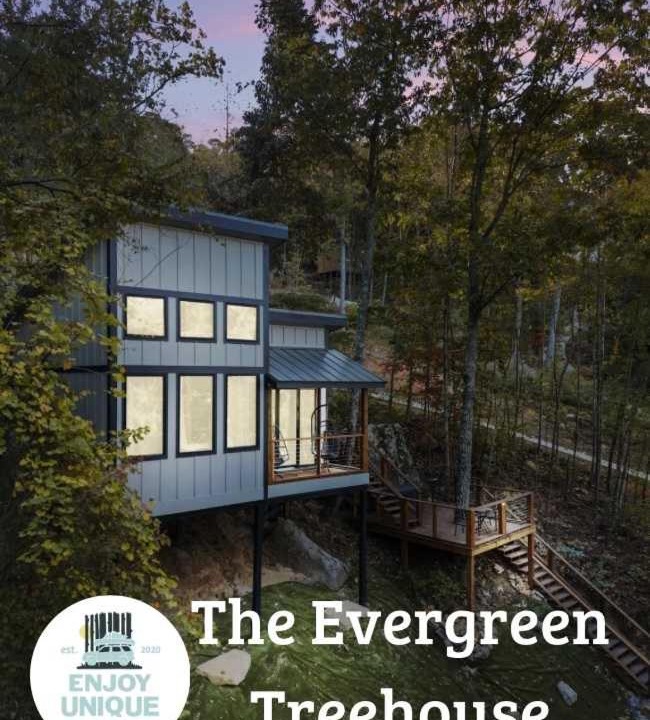 Wildwood House | The Evergreen Treehouse with Winter Views