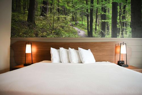 McMinnville Hotel | The Inn At Tree City, BW Signature Collection
