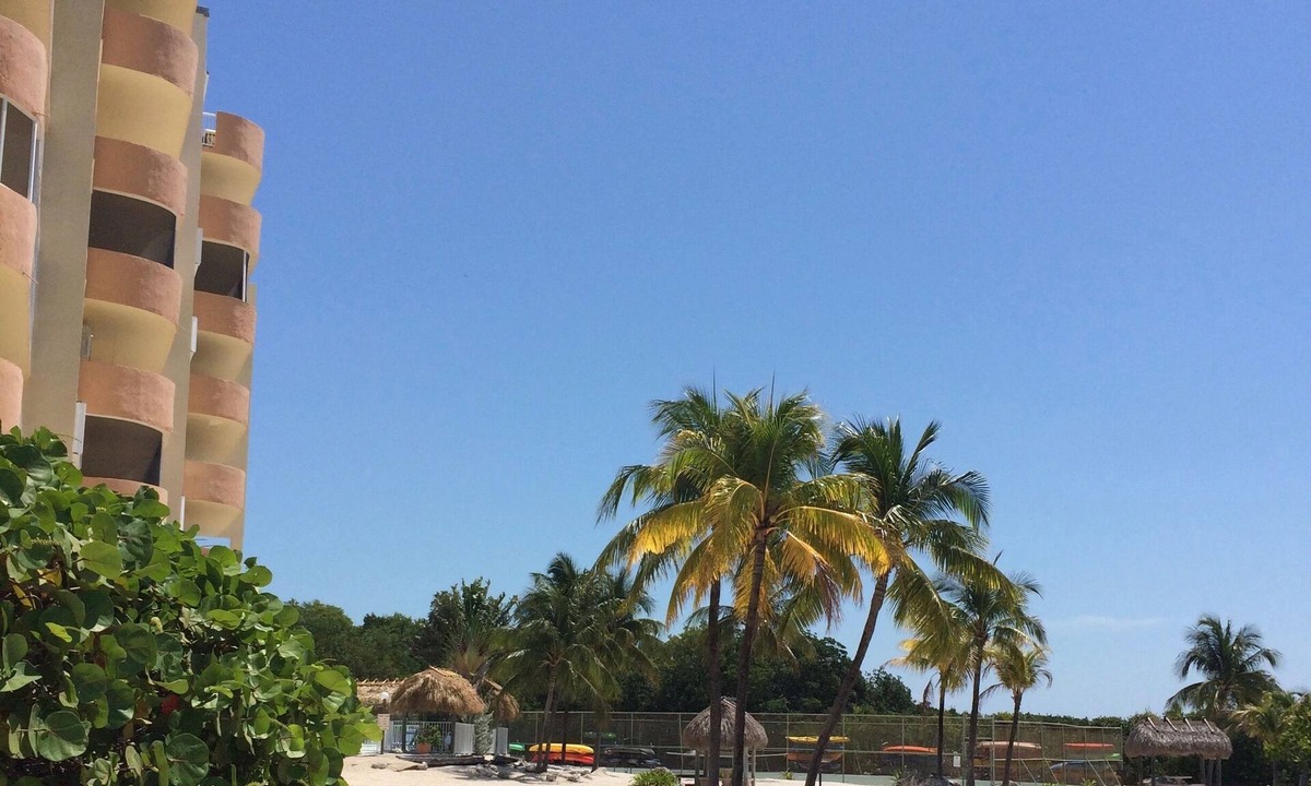 Tavernier Condo | Tropical Condo On The Ocean 1 BR/1 BA