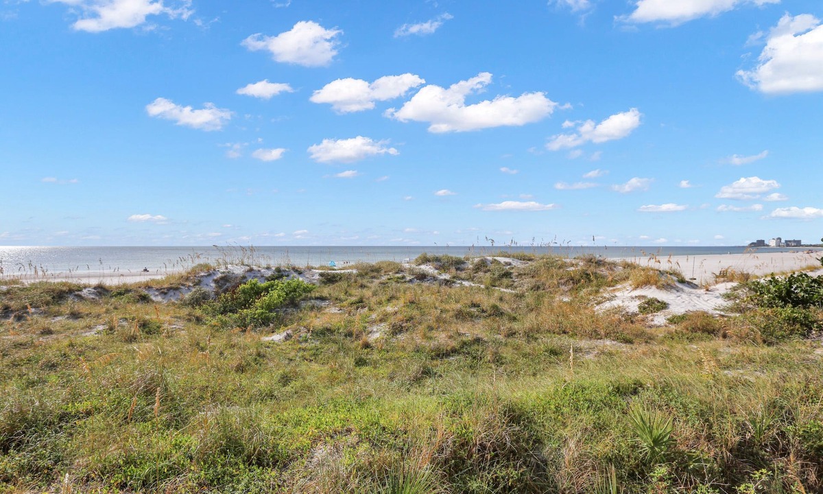 Vistas The Gulf | Belle Vista