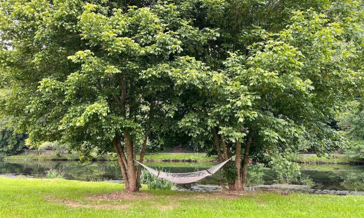 Johnson City Cottage | Watauga River Cottage in Johnson City, TN!