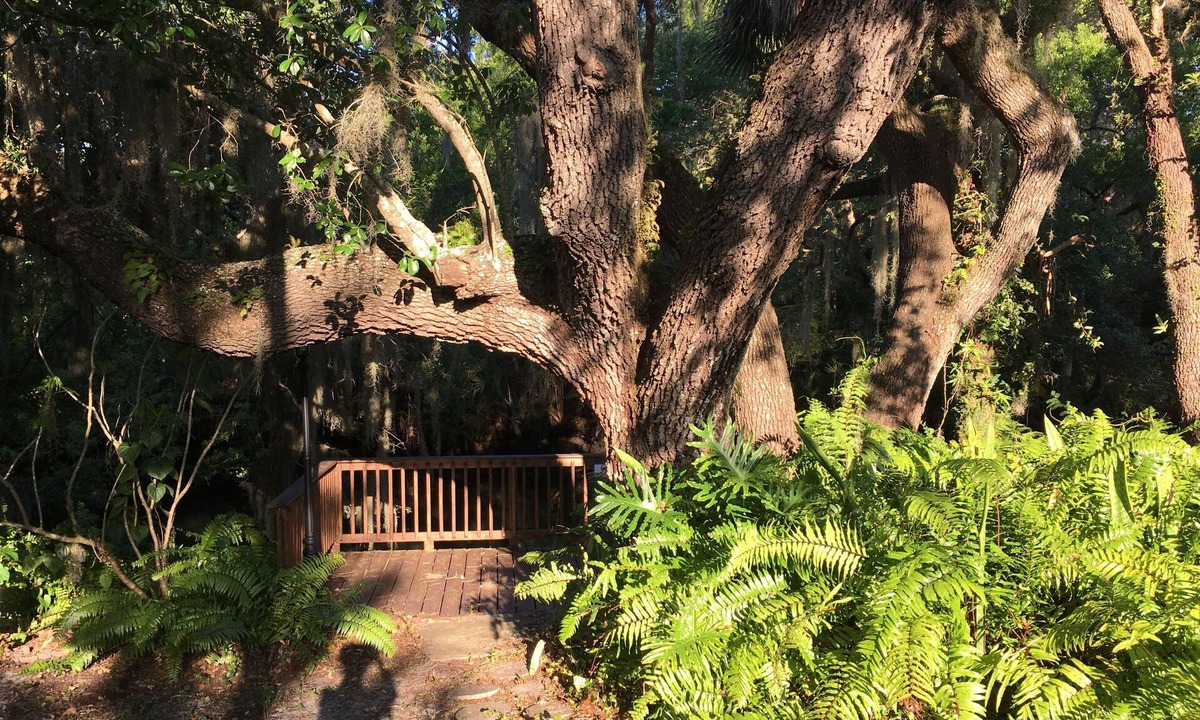 Mineral Springs | Warm Mineral Springs