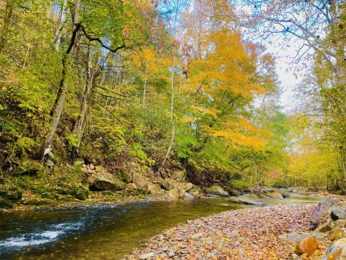 Cosby House | Whispering Creek Cabin