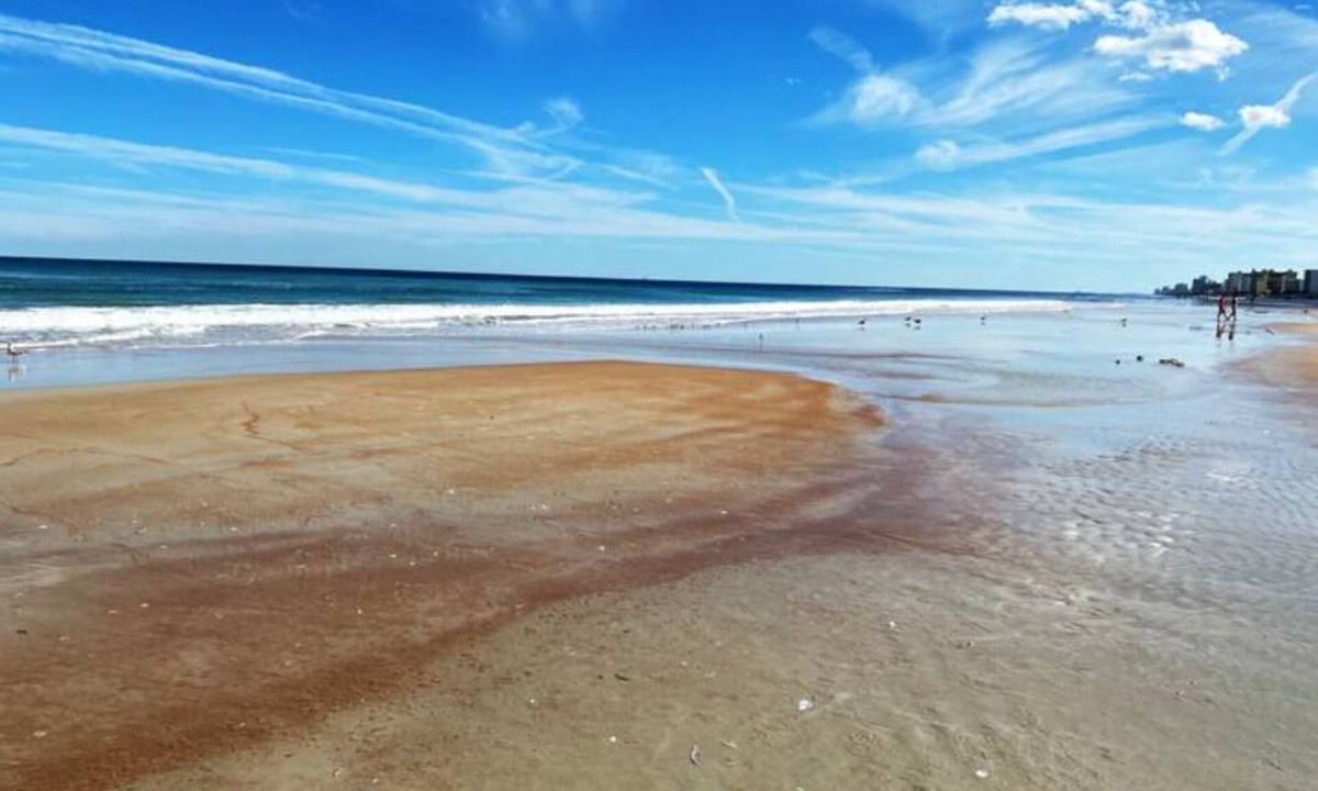 Marshall Park House | World's Famous ✦ Daytona Beach Home!❣