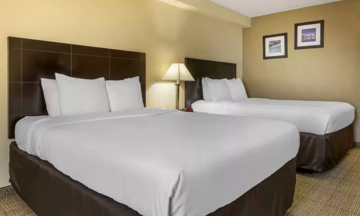 Comf Int Orlando | Florida Central Atlantic Coast