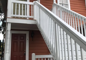1/1 furnished Apt- close to everything in Tampa!