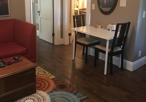 1/1 furnished Apt- close to everything in Tampa!