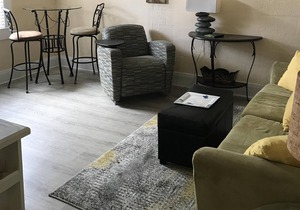 1 bed/ 1 bath furnished apt! Convenient to everything in Tampa!