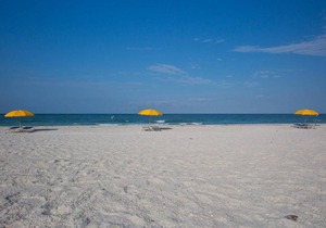 1 - Seahorse Cottages