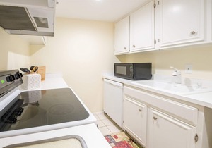 1163 Beach Walker -Ocean Front | 2 Bed, 2 Bath