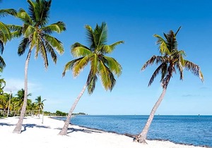 4-Star Hotel ∙ Parrot Key Hotel & Villas