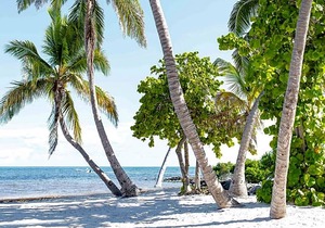 4-Star Hotel ∙ Parrot Key Hotel & Villas