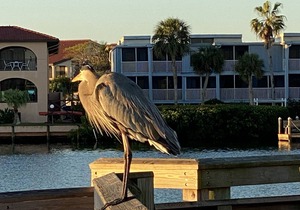 Beautiful 2 bed 2bath bottom floor condo only 5 minute drive to the beach!