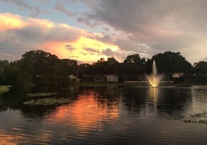Beautiful Condo Close to Busch Gardens