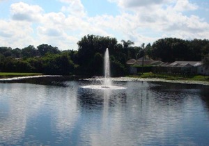 Beautiful Condo Close to Busch Gardens