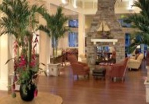 Beautiful Condo for Spring Break