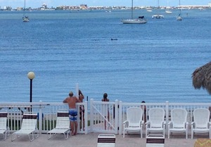 Beautiful Condo ,Water View , Bermuda Bay Beach Club ,Saint Petersburg , Florida