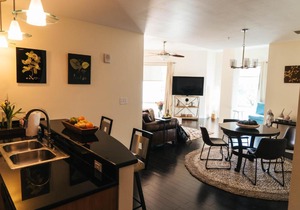 Beautiful lux downtown apartment