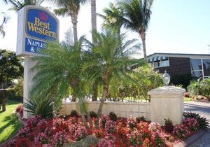 Best Western Naples Inn & Suites