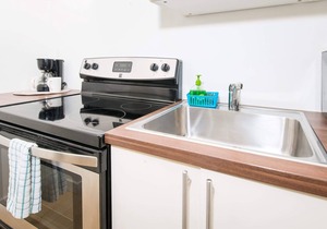 Bright and Beautiful Apt in the Heart of Miami! #3