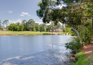 Charming Cottage w/Lake Views, Golf Cart, Beach Tram, Tropical Pool, Hot Tub.