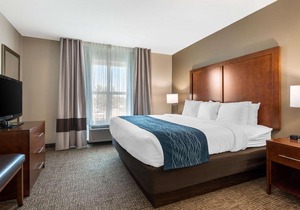 Comfort Inn & Suites Tavares North