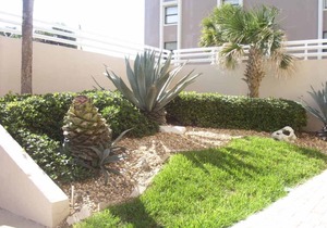 Direct ocean front Northeast corner unit 601 Southpoint 2b/2ba /6th floor/wifi