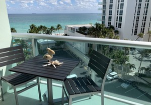 DIRECT Ocean View & Pool View FULLY Remodeled Condo!