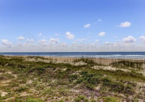 DogFriendly Oceanfront Condo