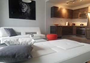 Downtown Miami Deluxe Apartment