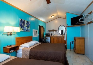 ⭐ELEGANT AND STUNNING COTTAGE 4⭐