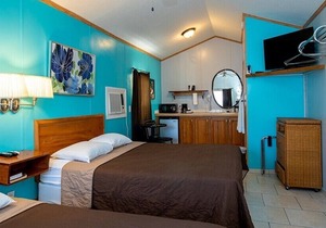 ⭐ELEGANT AND STUNNING COTTAGE 5⭐