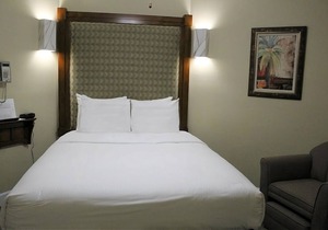 Experience Theme Park Magic in our Homey Orlando Studio - Pool and BBQ