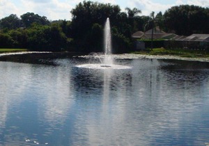 Great Condo Close To Busch Gardens!!