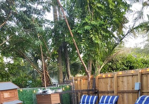Hang Out By The Pool & Hot Tub- Only 3 Miles From Beach, Airport, CruisePort!