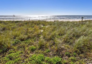 HEAR THE ROAR of the ocean and the slow flapping of the blue herons.