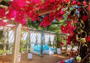 House ∙ 3 bedrooms ∙ 6 guests