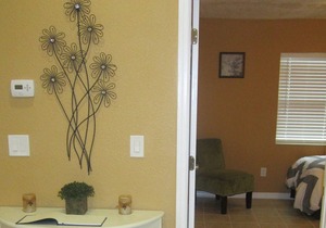 Lutz Cottage Apartment - Beaches / Busch Gardens / Disney / USF / Pets