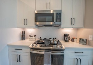 Luxurious 2 BR/2BR Downtown Apartment