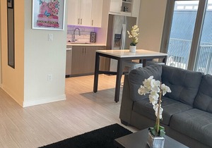 Luxury Midtown Sky-rise Condo