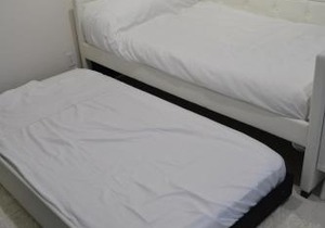 Luxury Studio Apartment IN Downtown! Twin Beds 29
